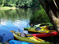 Kayaking The Saco River